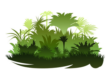 Jungle rainforest. Grass and palm trees. Nature landscape silhouette. Dense tropical thickets. Isolated on white background. Vector.