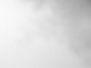 Abstract Light Shadow Leaves Background,Nature Overlay on Texture Pattern Cement Construction Window Buiding House,Backdrop Autumn or Summer,Wall Floor Grey Marble Stone Room grunge.