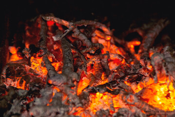 orange heat from burnt branches