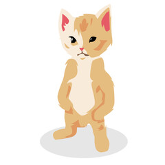 funny kitten standing with angry expression. cartoon illustration. concept of pet, cat, cute, animal.