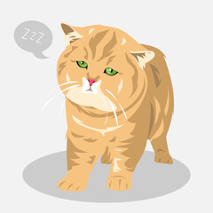cute fat cat sleepy cartoon illustration. balloon text with sleep icon. full body. pets, animals. for print, sticker, poster, and more.