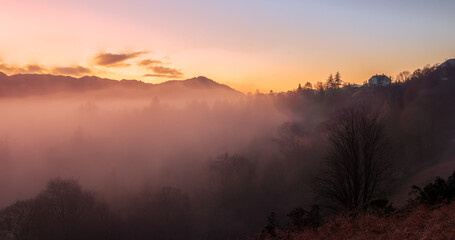 Lakeland Landscape