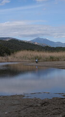 view of a bike with a lake of high yellow grass and mountains in the background