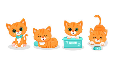 Fototapeta premium Set of cute cats in different poses in cartoon style.Sleeping cute red kitten.Funny ginger kitten.