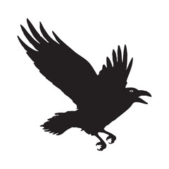 Obraz premium silhouette of a bird