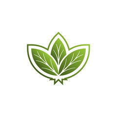 discovery wellness logo, wellness logo, plus sign and leaf elements