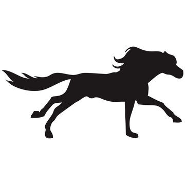 silhouette running horse
