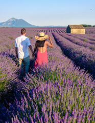 Provence, Lavender field France, Valensole Plateau, a colorful field of Lavender Valensole Plateau,...
