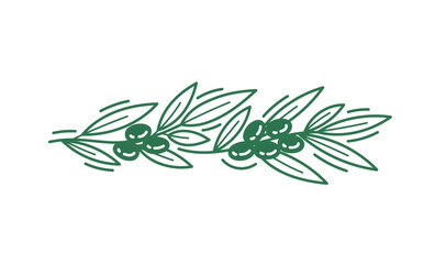 Olive branch floral ornament. Line pattern background. Editable outline stroke. Vector line.