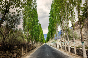 A scenic road leading towards Khaplu, surrounded by Poplar trees and overlooking the roaring Braldu...