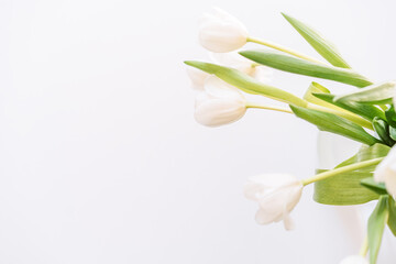 Bouquet of white tulips on a white background.