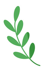 Botanical leaf branch