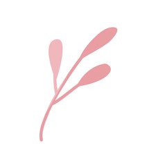 Botanical leaf branch