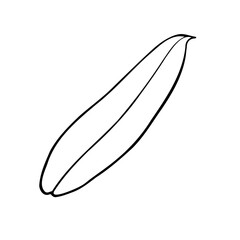 vector illustration of a leaf