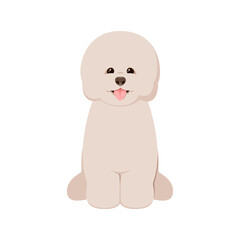 A bichon dog on a white background. Cartoon design.
