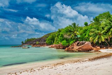 Palms along the beach of Seychelles Islands