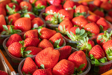 Ripe red strawberries close up. Strawberries packed in plastic containers. Organic food. Organic gardening. Street market