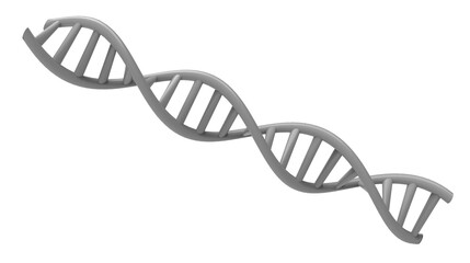 Dna Structure isolated. Png transparency