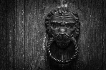 the Metal knocker like a lion's head on an ornate door black and white