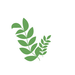 Green Leaf Illustration
