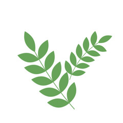 Green Leaf Illustration
