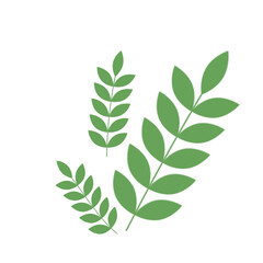 Green Leaf Illustration
