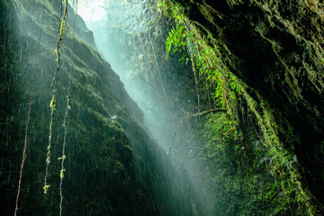 Rain falling between dark rocks and green tropical vegetation in the Cueva del Esplendor (cave of...