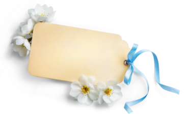 Feminine wedding, birthday mockup scene. Blank paper greeting card with blue and spring white flower. Transparent background and real transparent shadow. Flat lay, top view.