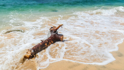 Pieces of wood washed ashore at wavy beach.
