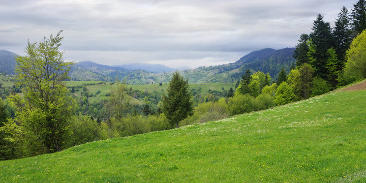 cloudy rural mountain landscape. morning scenery of carpathian countryside in spring