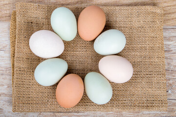 Circle of multi-colored chicken eggs, top view