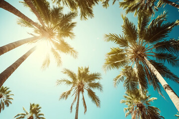 Fototapeta na wymiar Palm trees on blue sky background. AI