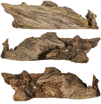 collection of a piece of a root / trunk river wood, driftwood, natural wood, plant root, mangrove wood isolated on transparent background png image compositing footage alpha channel