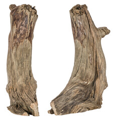 collection of a piece of a root / trunk river wood, driftwood, natural wood, plant root, mangrove wood isolated on transparent background png image compositing footage alpha channel - 581751511