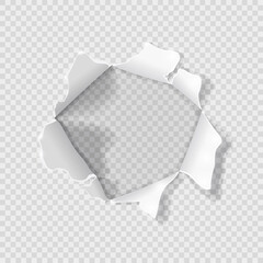 Torn hole on a sheet of paper isolated on a transparent background. Vector illustration.