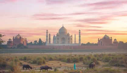 Fototapeta na wymiar Women grazing cows in front of the Taj Mahal