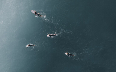 Surfers Paddle Out