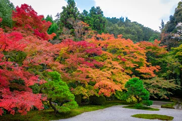 Fotobehang Kyoto 秋の京都・南禅寺の天授庵で見た、カラフルな紅葉