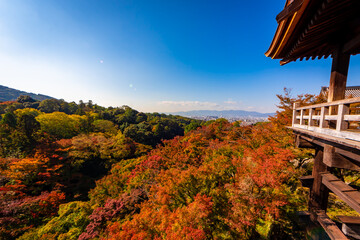 秋の京都・清水寺で見た、カラフルな紅葉と快晴の青空