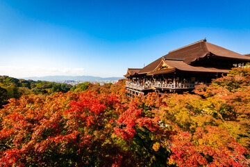 Fototapeta na wymiar 秋の京都・清水寺で見た、色鮮やかな紅葉と快晴の青空