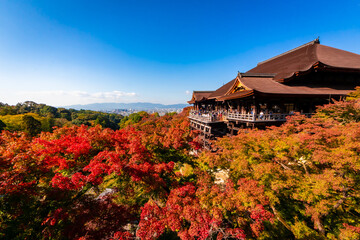 Obraz premium 秋の京都・清水寺で見た、色鮮やかな紅葉と快晴の青空