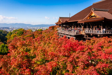 秋の京都・清水寺で見た、色鮮やかな紅葉と快晴の青空