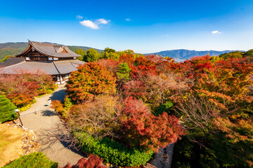 Fototapeta na wymiar 秋の京都・将軍塚青龍殿で見た、カラフルな紅葉と快晴の青空