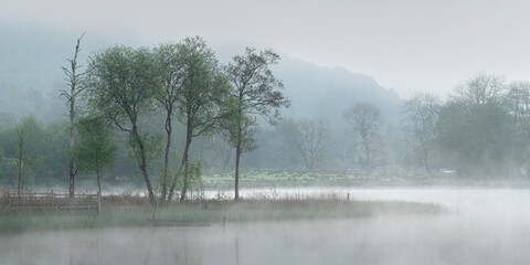 Loch Ard Scotland on a misty morning