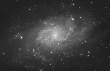 Triangulum galaxy or Messier 33 in the triangulum constellation, taken ith my telescope, mono version.