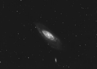 Messier 106 galaxy in luminance, located in Canes Venatici constellation, taken with my telescope, mono version.