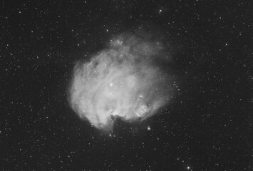 Sh2-252 emission nebula also known as monkey head in the orion constellation. In this image there are also an open cluster, called NGC 2174. Taken with my telescope, mono version.