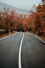 Carretera en otoño