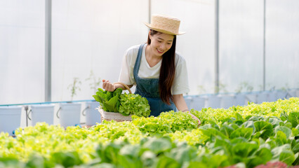 Woman smart farmer working and checking organic hydroponic veget