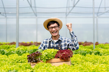 Naklejka na ściany i meble Young man smart farmer smiling success and hoding organic hydroponic vegetable in basket to management preparing export to sell